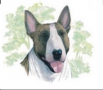 Decal - Hund - Bullterrier – 75MM