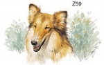 Decal - Hund - Collie – 75MM