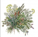 Decal – HERB BUNCH – Kräuterstrauß – 65 mm