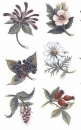 Decal - 6 Pflanzenmotive - 4,5 cm
