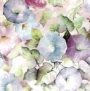 Decal - Morning Glory Chintz