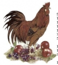 Decal - Rooster / Apples & Grapes – 10 cm