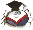 Decal - SPIDER 80 MM