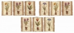 Decal - BOTANICAL MUGS – 200x85mm