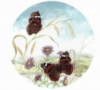 Decal - BUTTERFLIES 198MM
