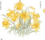 Decal - GOLDEN DAFFODILS 122X105MM