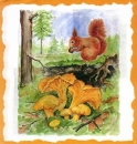 10 Bögen je 17 x 37,5 cm - VLOEI-Dekormotiv 05 – Eichhörnchen