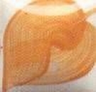 EZ Stroke - Sienna Brown - 29,5 ml - Unterglasurfarbe von DUNCAN / MAYCO