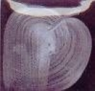 EZ Stroke - White -16oz = 472 ml - Unterglasurfarbe von DUNCAN - Best of DUNCAN