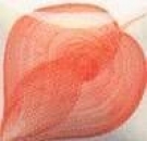 EZ Stroke - Coral Red - 29,5 ml - Unterglasurfarbe von DUNCAN