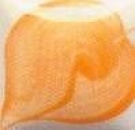 EZ Stroke - Poppy Orange - 29,5 ml - Unterglasurfarbe von DUNCAN - Best of DUNCAN