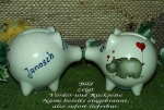 Sparschwein mit Stopfen – 10 x 8,5 x 8,5 cm - Nilpferdmotiv – fester Name: Janosch