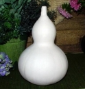 Flaschen-Kürbis - 25 cm – Schrühware