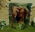 Lantern made of laminated motif for tealight - Elefant