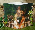 Foto-Lampe für Teelicht - Motiv  Schäferhunde