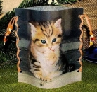 Folienwindlicht für Teelicht - Katze Nele