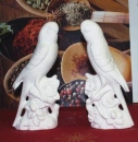 Sittich-Paar – 18,5 cm hoch - Schrühware