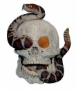 Totenkopf mit Schlange – 19 cm hoch – Schrühware