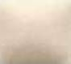 NT-018 – Light Almond – Kaltmalfarbe von DUNCAN – 29,5 ml – Altbestand