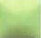 NT-016 – Celery – Kaltmalfarbe von DUNCAN – 29,5 ml – Altbestand