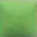 NT-031 – Spring Green – Kaltmalfarbe von DUNCAN – 29,5 ml – Altbestand