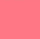OS-515 – New England Coral – 59 ml - Kaltmalfarbe von DUNCAN – Altbestand