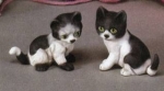 Sitzende Katzen - 2er Set – je 8,9 cm - Schrühware