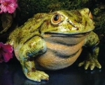 SCIOTO--Gießform - neu – Vorderfüße für Frosch / Kröte – groß – 33 cm lang – USA