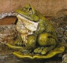 SCIOTO-Gießform - neu – großer sitzender Frosch – 10 cm hoch - USA