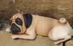 Regal - Mops – 12,5 cm lang - Schrühware