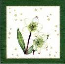 s0446 - Christrose – Serviette 33 x 33 cm - Restbestand - Stückpreis