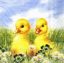 s0563 - Ducklings - Entenküken - yellow – Serviette von IHR – Ideal Home Range - Restbestand – Stückpreis