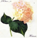 s0947 - Hortensia - Servietten - Packung - 20 Stück