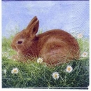 s1310 - Hoppel - Servietten - Packung - 20 Stück