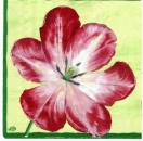 s1341– Mohnblume – Servietten – Packung – 20 Stück