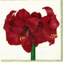 s1711 – Blume – Servietten – Packung – 20 Stück