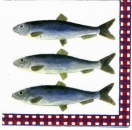 s1822 - Silakat weiss / taubenblau - Servietten - Packung - 20 Stück