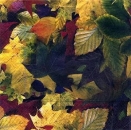 s1883 - Leaves - Servietten - Packung - 20 Stück