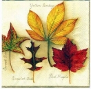 s1947 - Autumn Leaves - creme - Servietten - Packung - 20 Stück