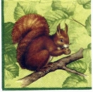s2211 - Squirrel - green - Servietten - Packung - 20 Stück