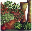 s2218 - Fall Berries - Servietten - Packung - 20 Stück