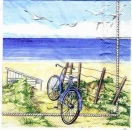 s2229 - Beach Bicycle - Servietten - Packung - 20 Stück