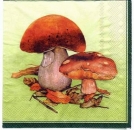 s2260 – Pilze – Servietten – Packung – 20 Stück