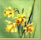 s2894 - Spring Trumpet - green - Servietten - Packung - 20 Stück