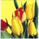 s2900 - Tulpenfieber - gelb - Servietten - Packung - 20 Stück