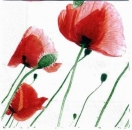 s2912 - Klatschmohn - Servietten - Packung - 20 Stück