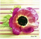 s2937 - Pink Anemone - Servietten - Packung - 20 Stück