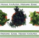 s2961 - Herbs - Servietten - Packung - 20 Stück