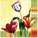 s3032 – Tulpen – Servietten – Packung – 20 Stück