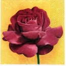 s3088 - Velvet Rose - Servietten - Packung - 20 Stück